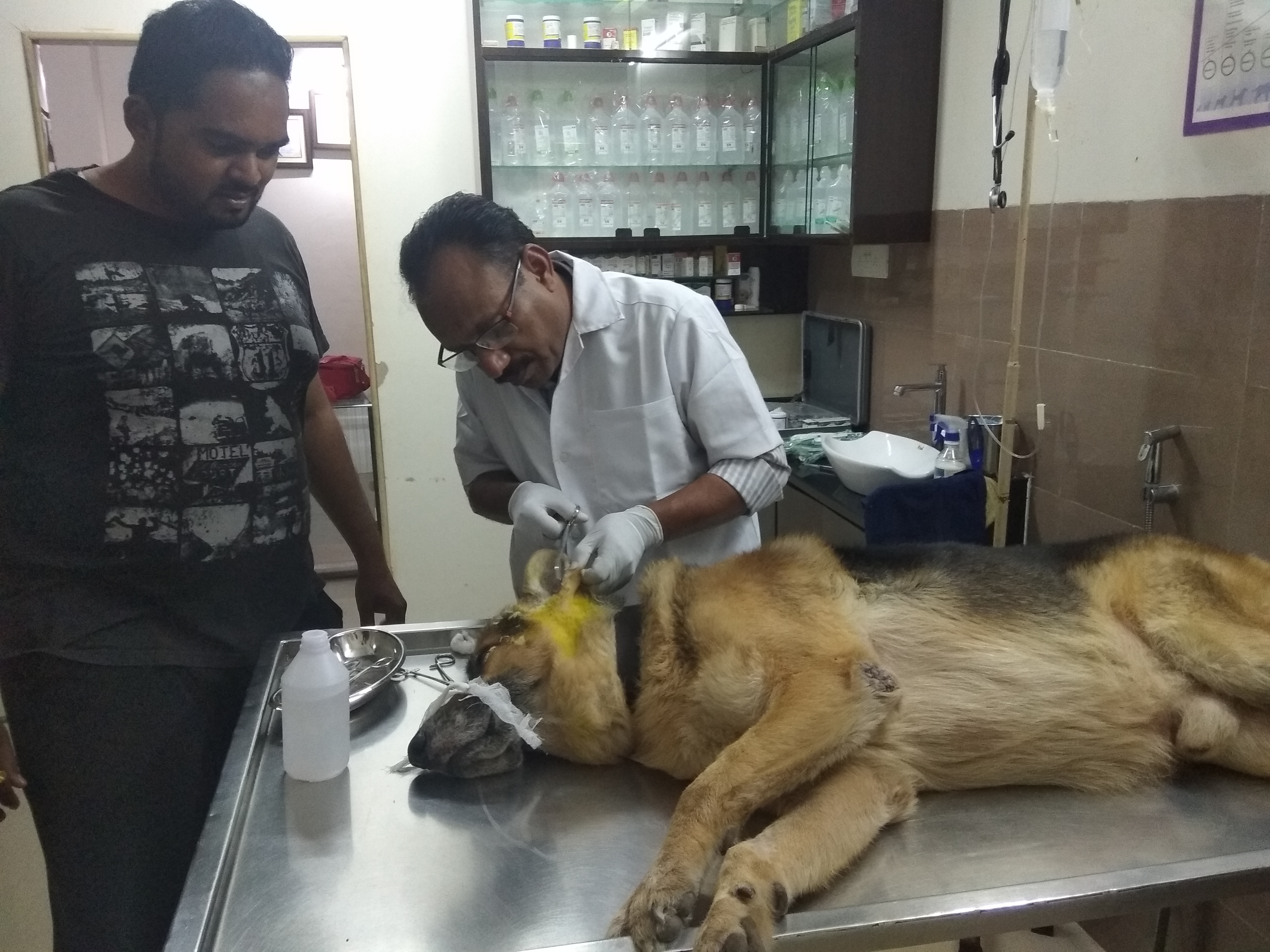 Sarvadnya Pet Care Unit veterinary clinic, Pune